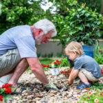 image of grandparent and grandchild gardening together