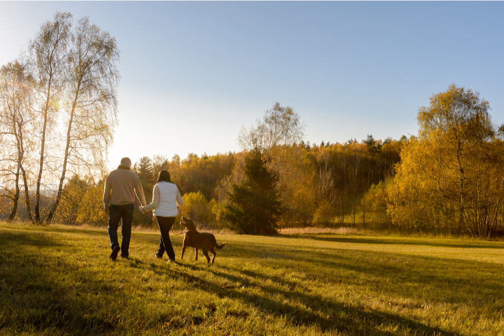 couple walking dog in autumn sunset