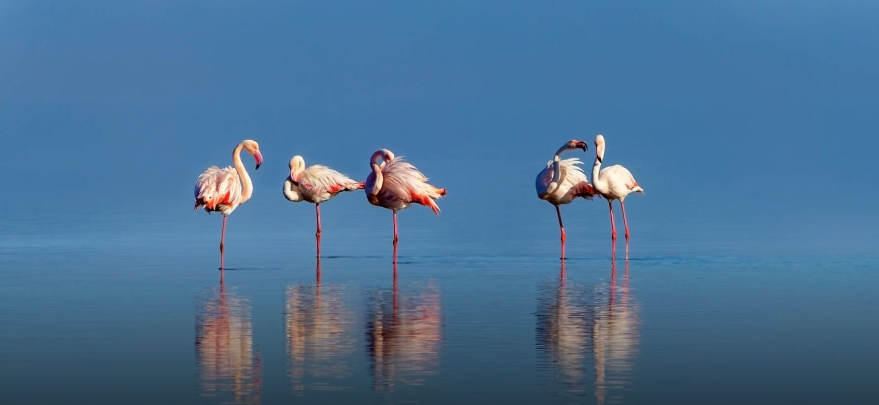 Looking ahead to this week’s Budget